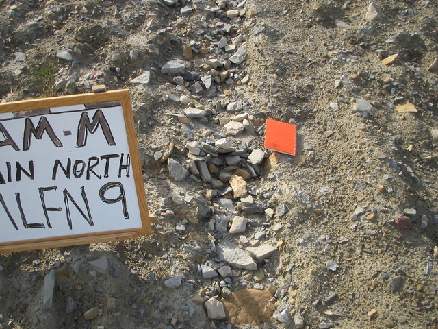 Thumb for 17 aug 05 mlfn9 closeup.jpg (3460 KB)